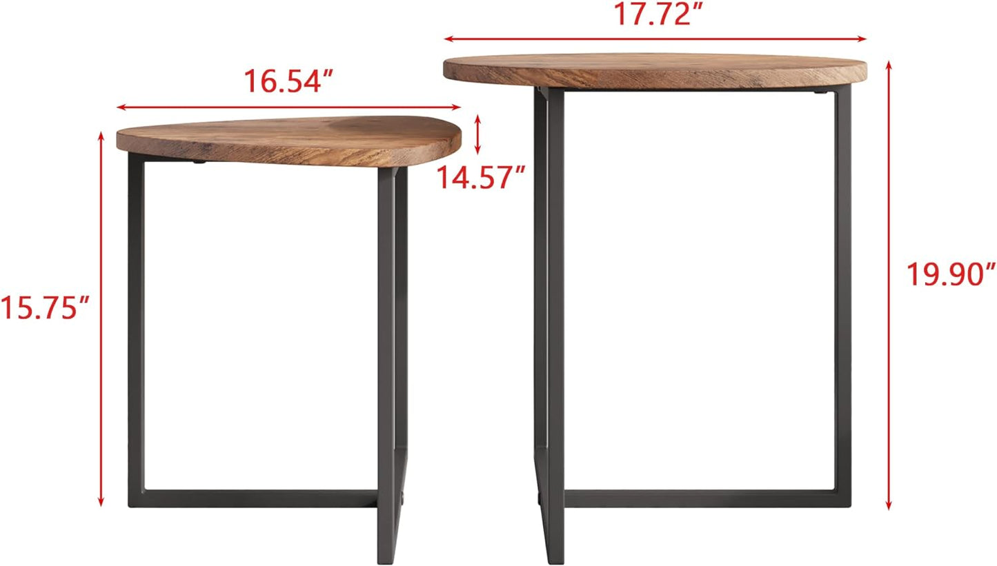 Set of 2 Modern Coffee Tables