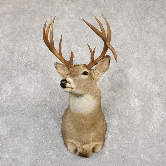 Wall Mounted Brown Deer Buck Fake Head