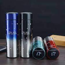 Temperature Display Double Wall Insulated Water Bottle