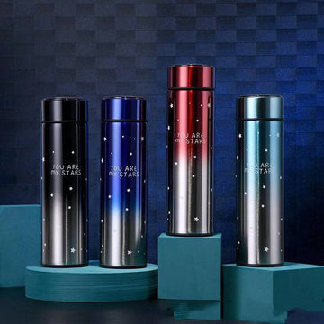 Temperature Display Double Wall Insulated Water Bottle