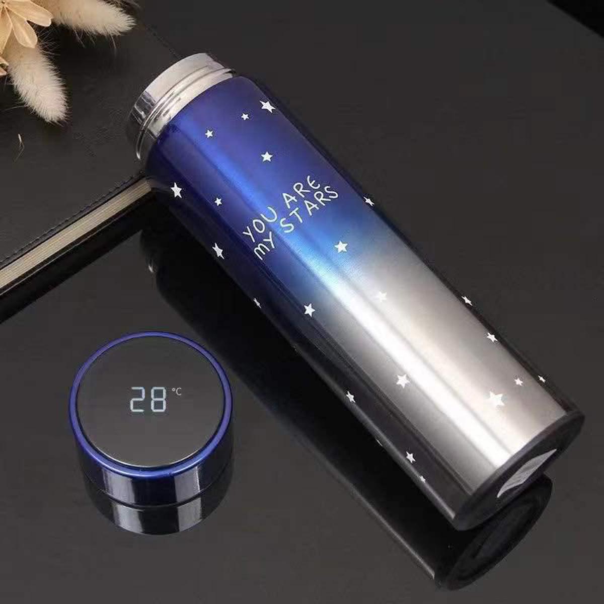 Temperature Display Double Wall Insulated Water Bottle