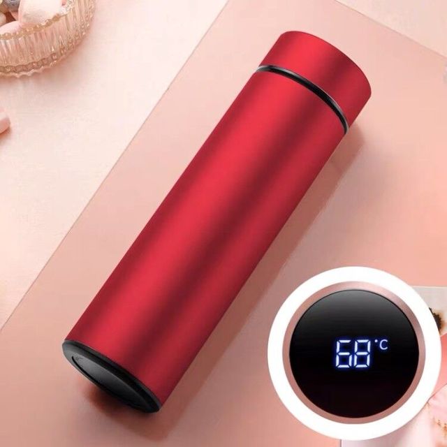 500ml Stainless Steel Smart Temperature Water Bottle