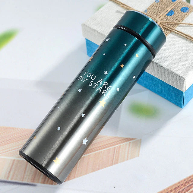 Temperature Display Double Wall Insulated Water Bottle