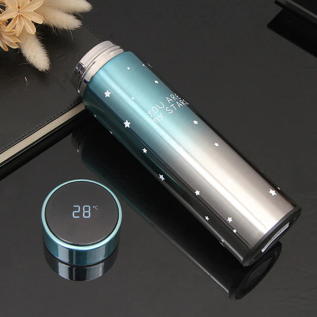 Temperature Display Double Wall Insulated Water Bottle