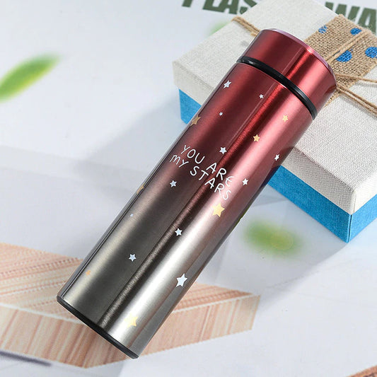 Temperature Display Double Wall Insulated Water Bottle