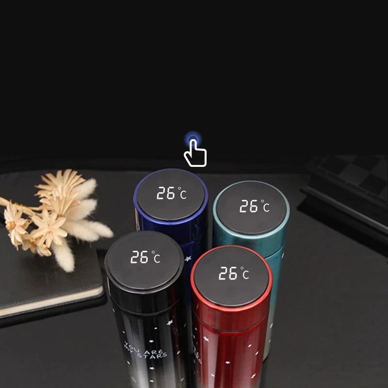 Temperature Display Double Wall Insulated Water Bottle