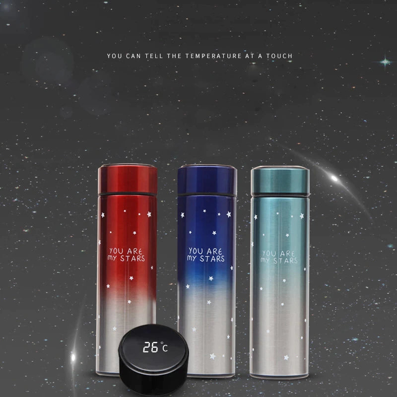 Temperature Display Double Wall Insulated Water Bottle