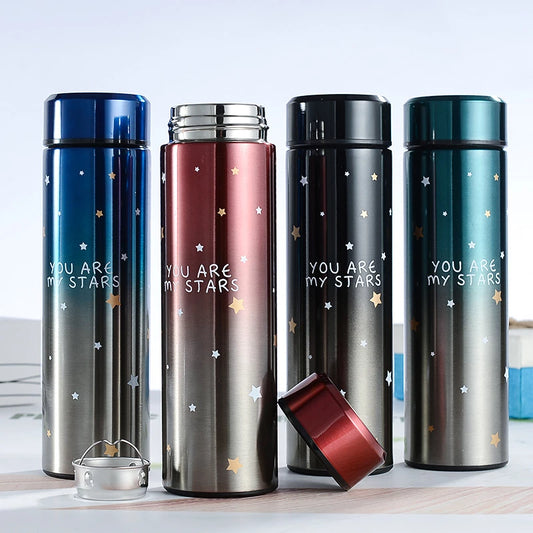 Temperature Display Double Wall Insulated Water Bottle